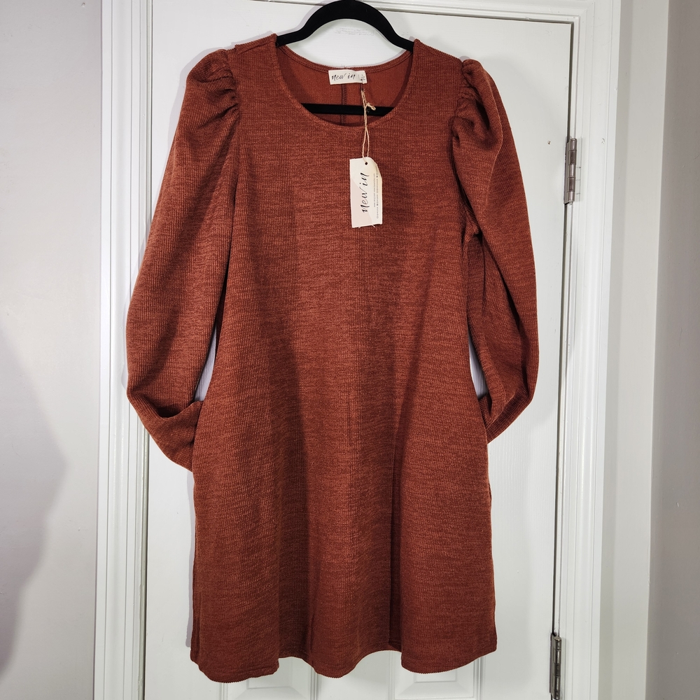 Love Riche Rust Brown Long Sleeve A-Line Dress